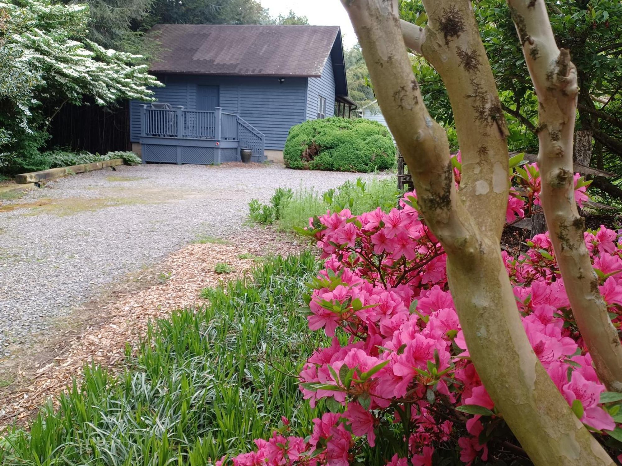 Restored1850S Log Cabin, With Gazebo And Gardens! 1 Mile To Downtown Weaverville Exterior foto