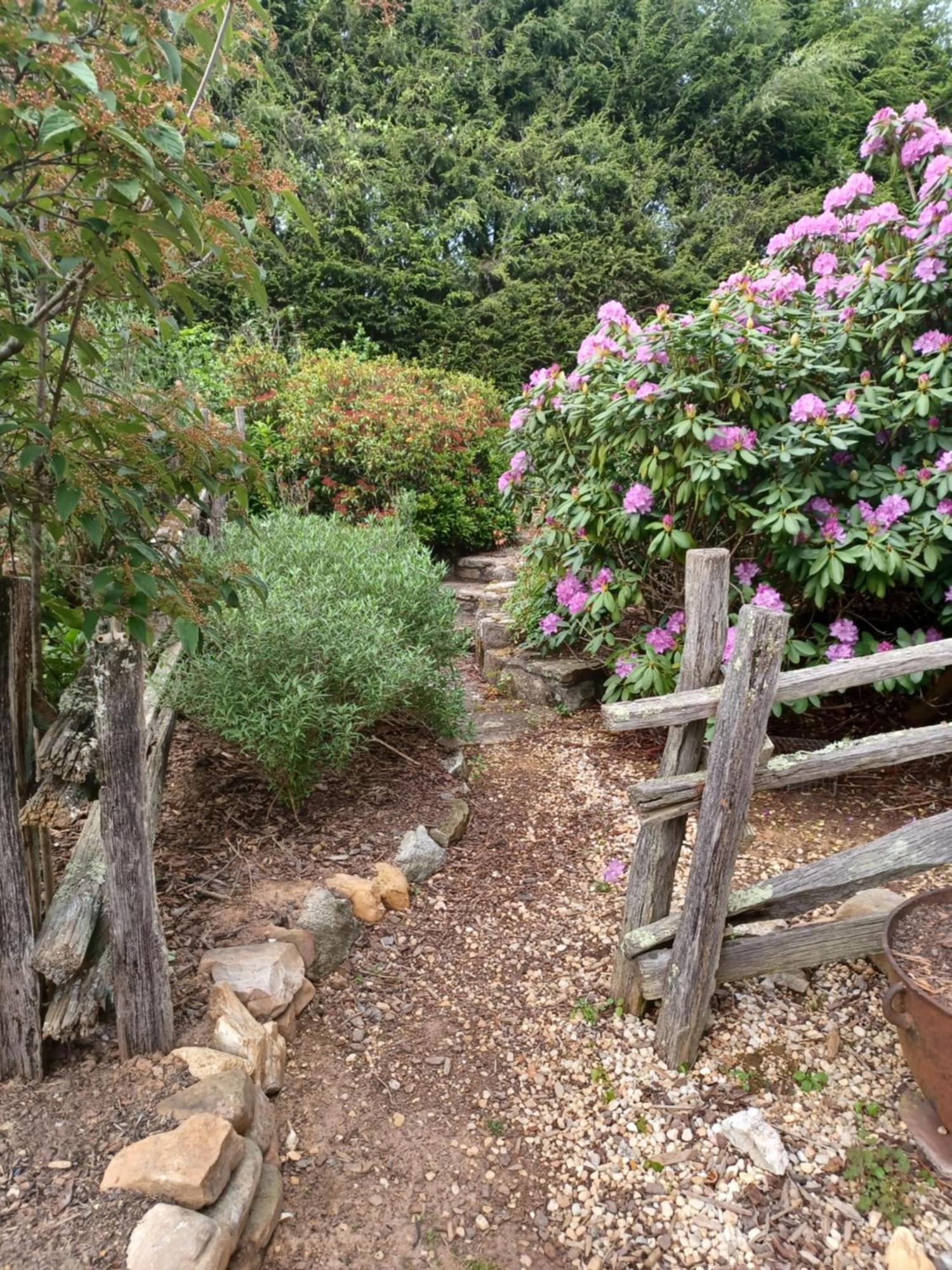 Restored1850S Log Cabin, With Gazebo And Gardens! 1 Mile To Downtown Weaverville Exterior foto