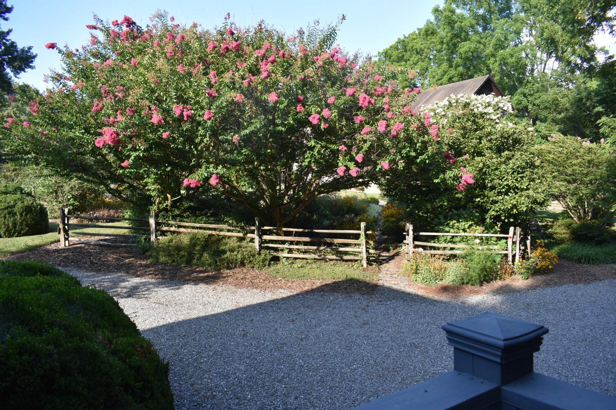 Restored1850S Log Cabin, With Gazebo And Gardens! 1 Mile To Downtown Weaverville Exterior foto
