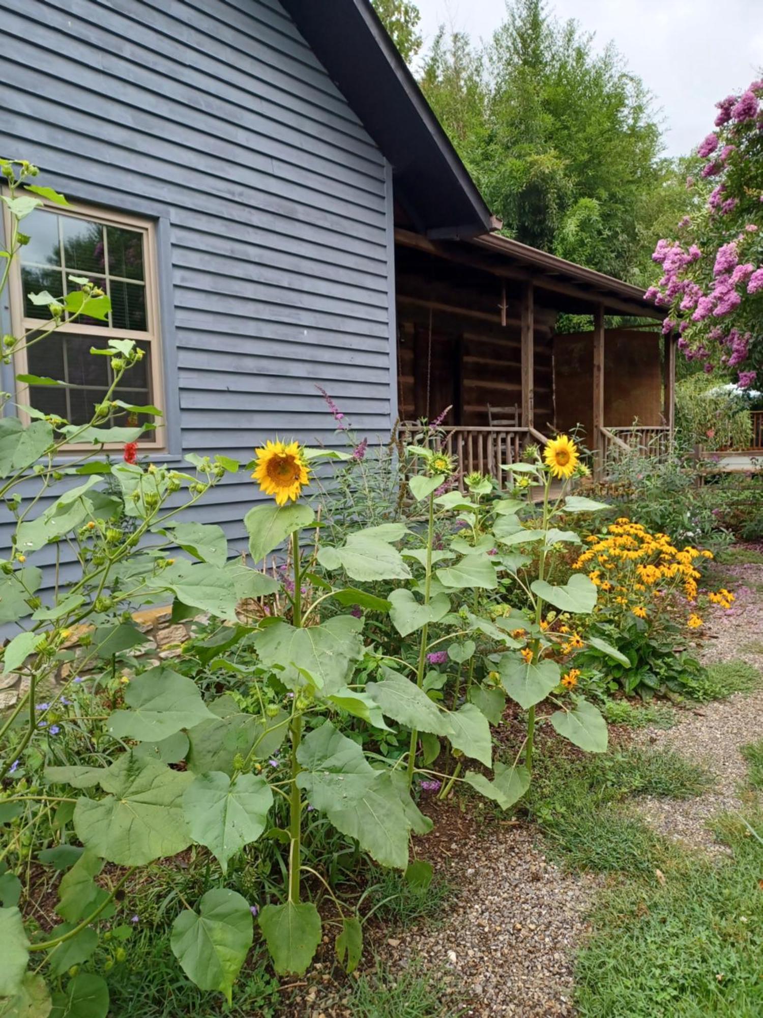 Restored1850S Log Cabin, With Gazebo And Gardens! 1 Mile To Downtown Weaverville Exterior foto