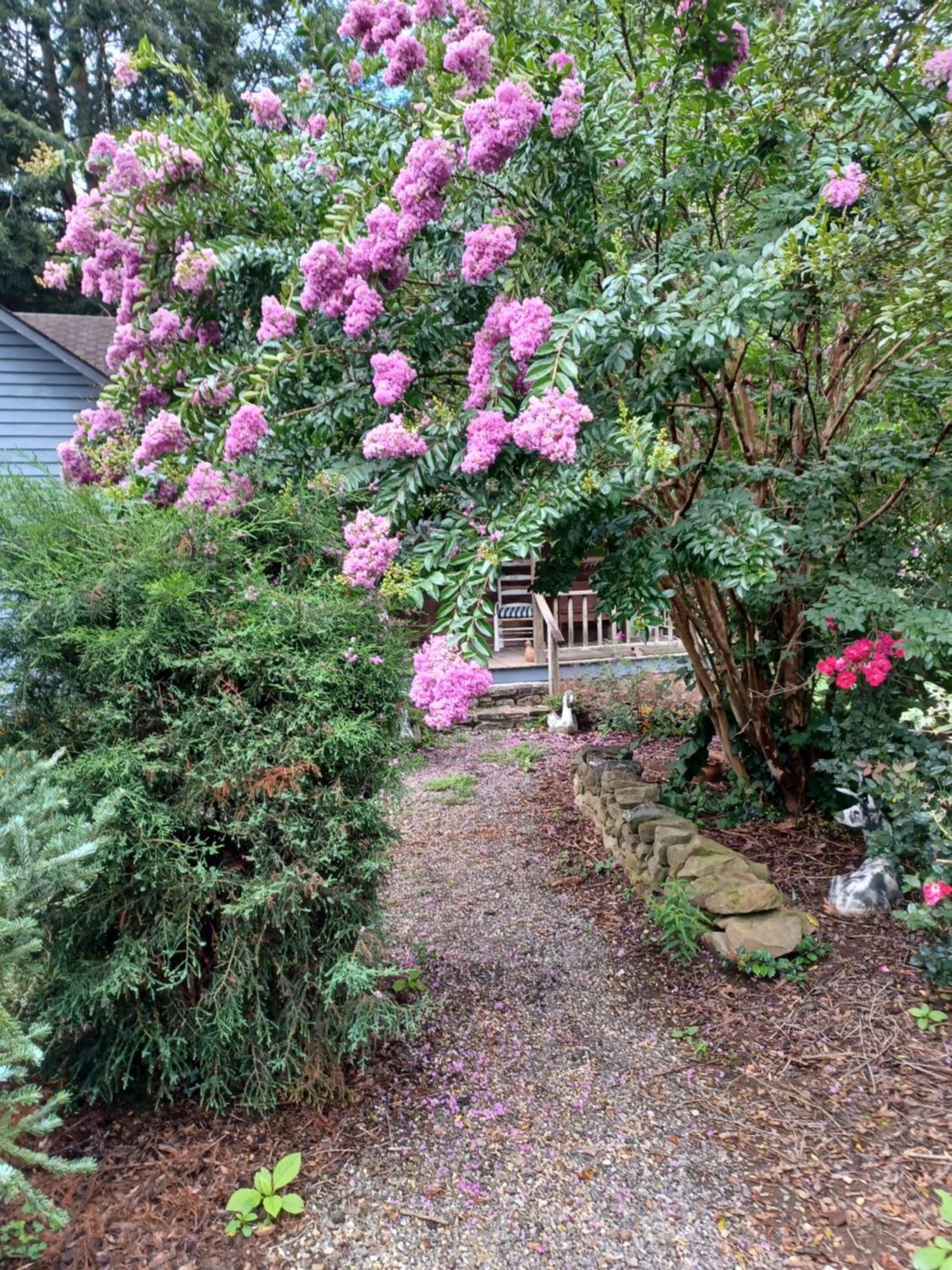 Restored1850S Log Cabin, With Gazebo And Gardens! 1 Mile To Downtown Weaverville Exterior foto